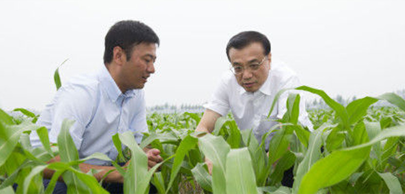 一號文件解讀：中國要強 農(nóng)業(yè)必須強